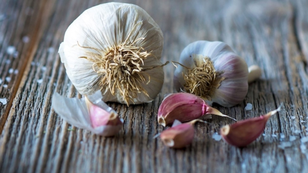Absolutely awesome aglio, learn more about garlic at Tuscookany