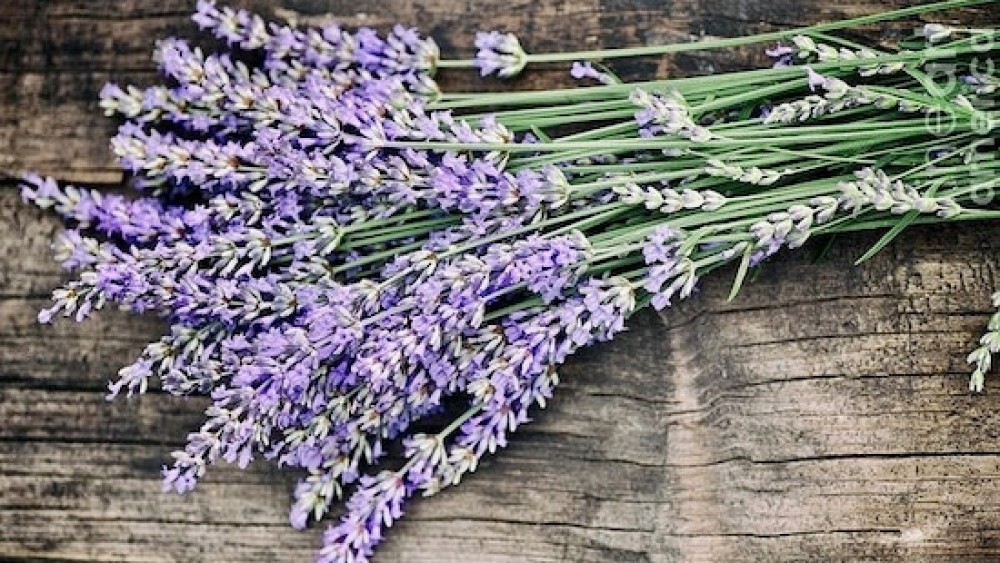 Cooking With Lavender Is Dependent Upon The Variety Used