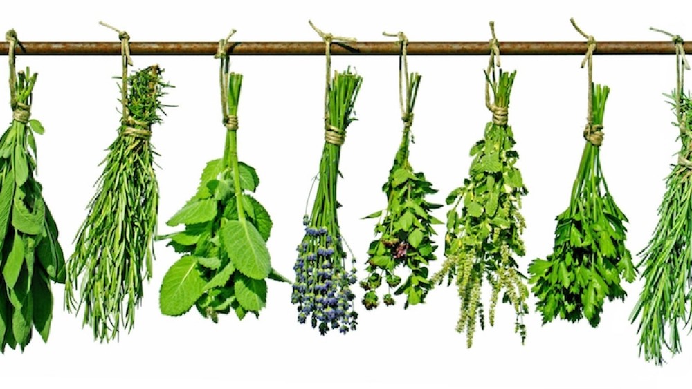Herbs create the famous aromas we all love about Italian food