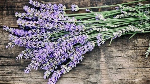Lavender can be used for much more than you think! See, smell and taste what we mean!