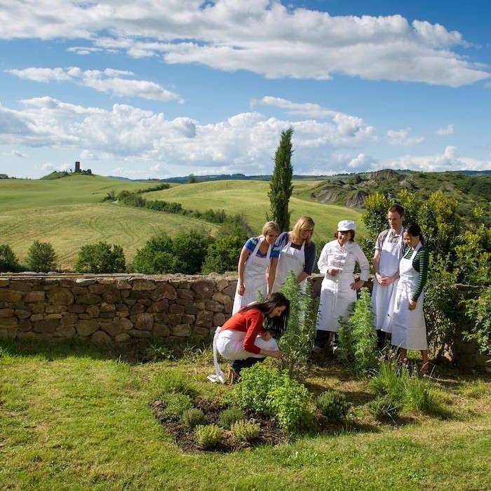 Picking fresh herbs at Bellorcia