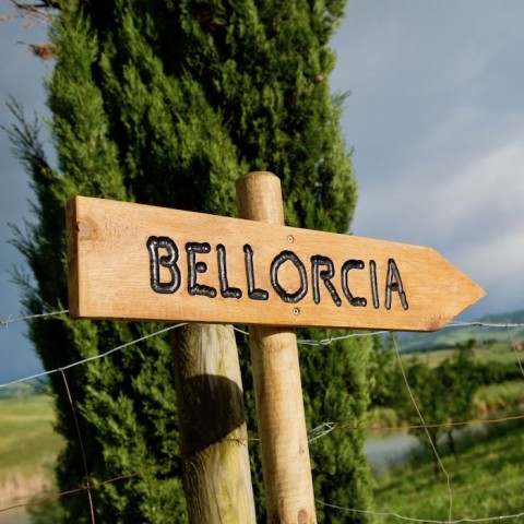 How to get to Bellorcia