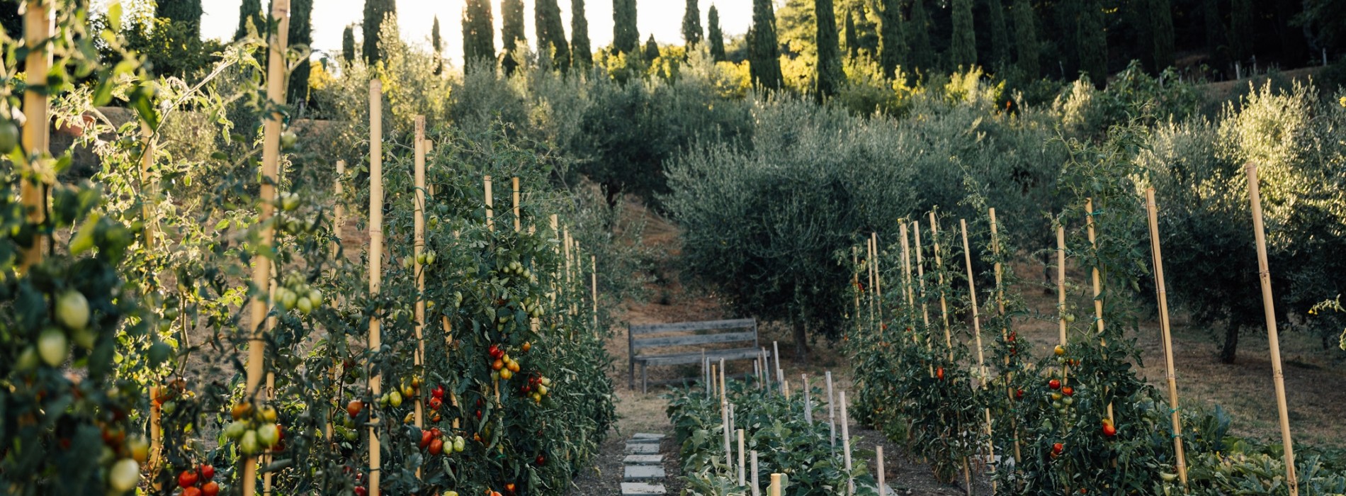 Learn Tuscan cooking true Italian style and have fun doing it!