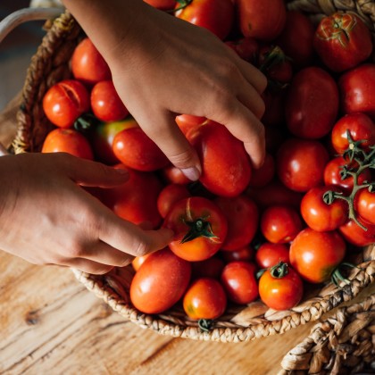 Tomatoes at Tuscookany