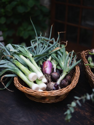 Tuscookany Tuscan cooking vacation dietary restrictions